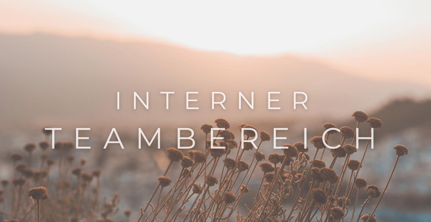 Interner Teambereich