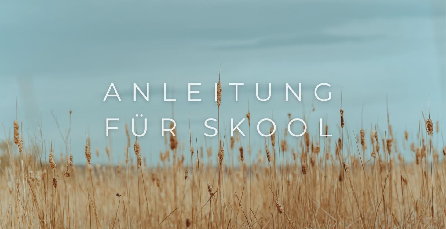 Dein Einstiegsbereich- Anleitung für Skool