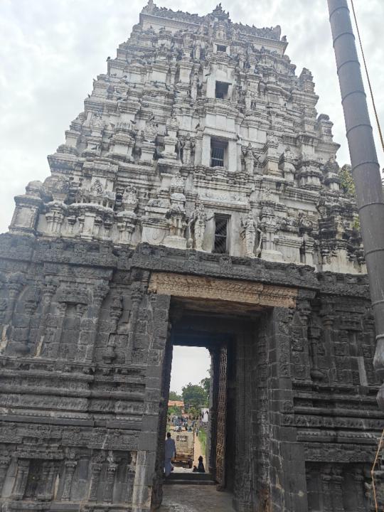 Penikalapati Siddartha