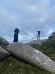 Patricia Friskney-Adams