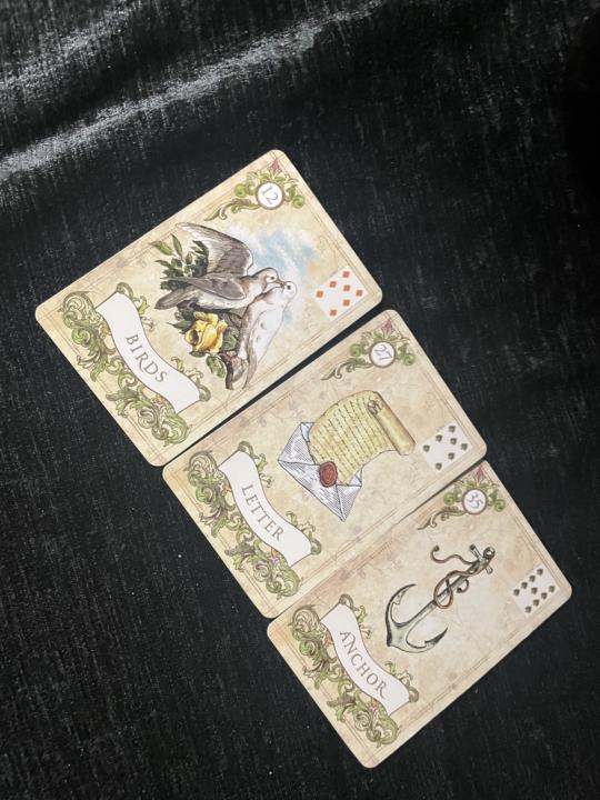 雷諾曼粗暴日常案例分享