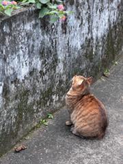 林 芷榆