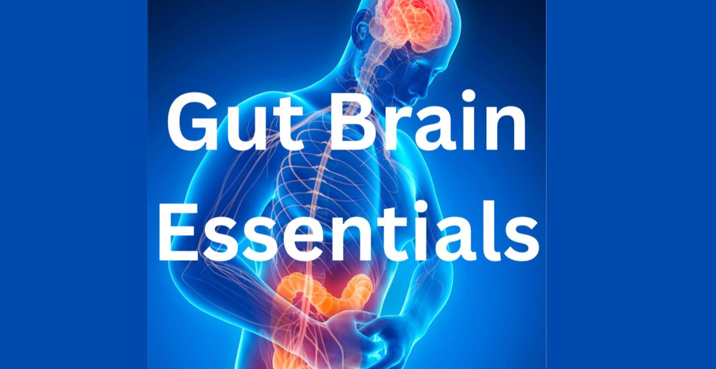 The Gut–Brain Essentials Series