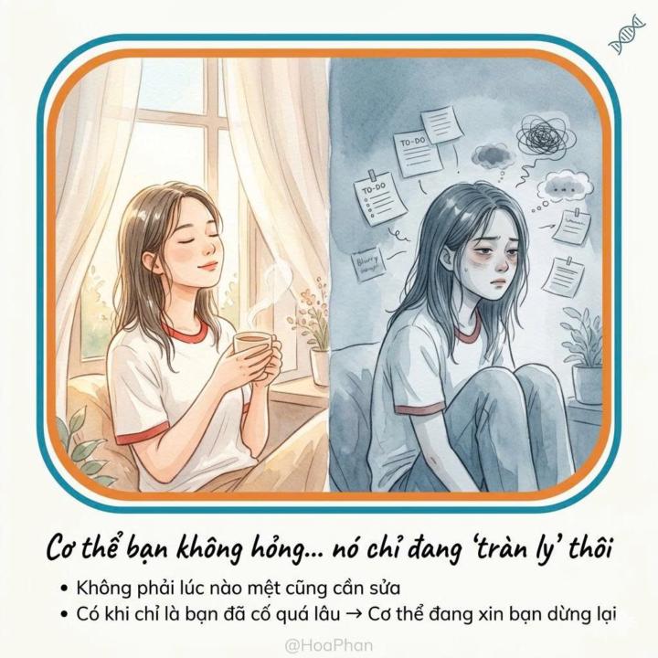 SỰ THẬT VỀ MỆT MỎI