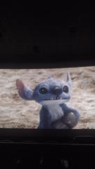 Danuska Alexandra Calderón Diaz