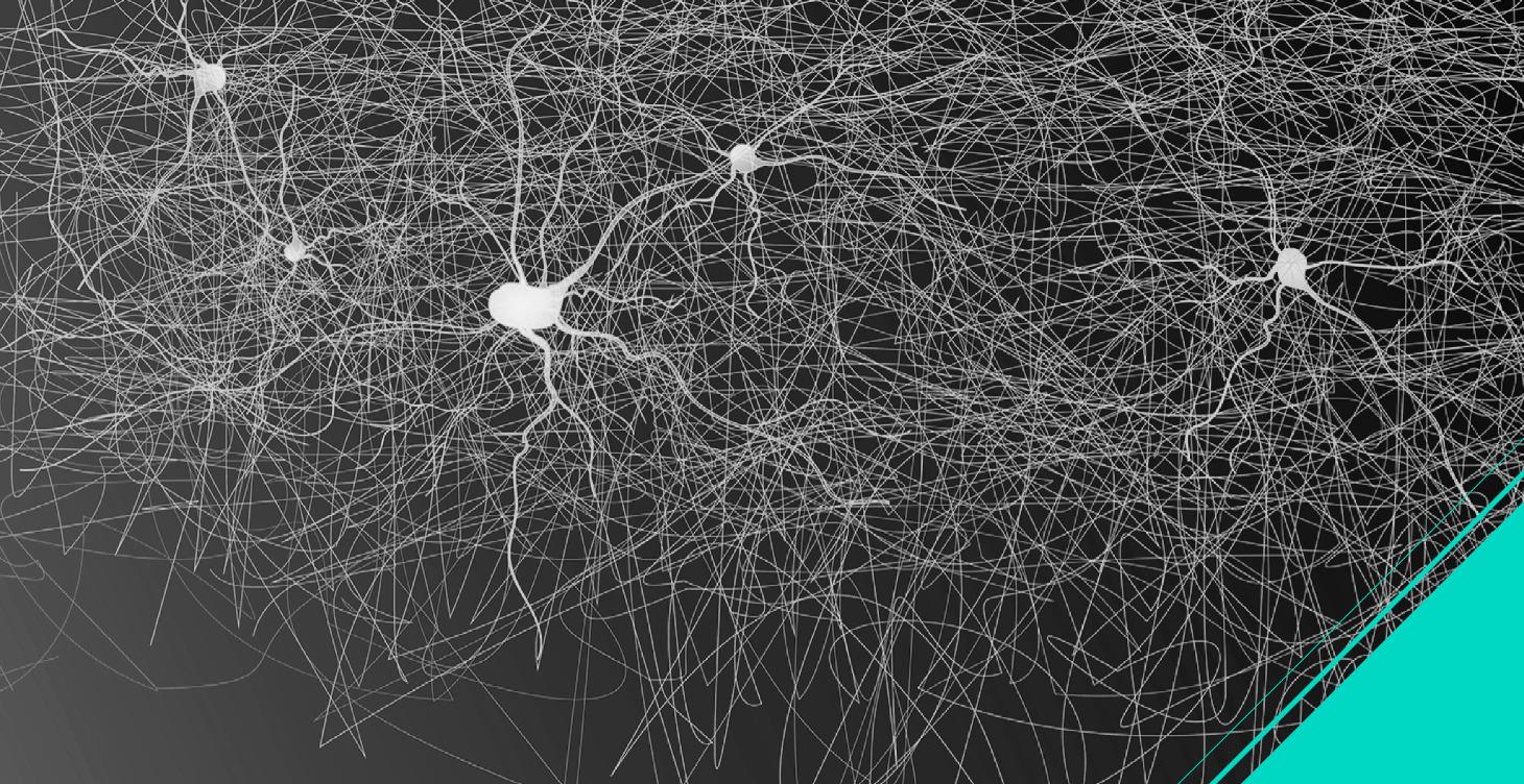 SEMANA 1: El Despertar Neurofisiológico