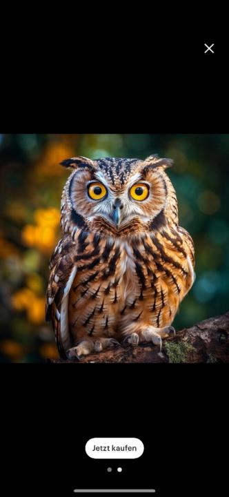 Franziska Nötzelmann