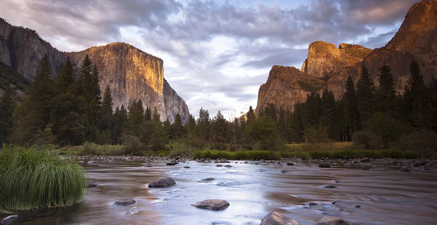 Welcome to the Art of Effortless Calm