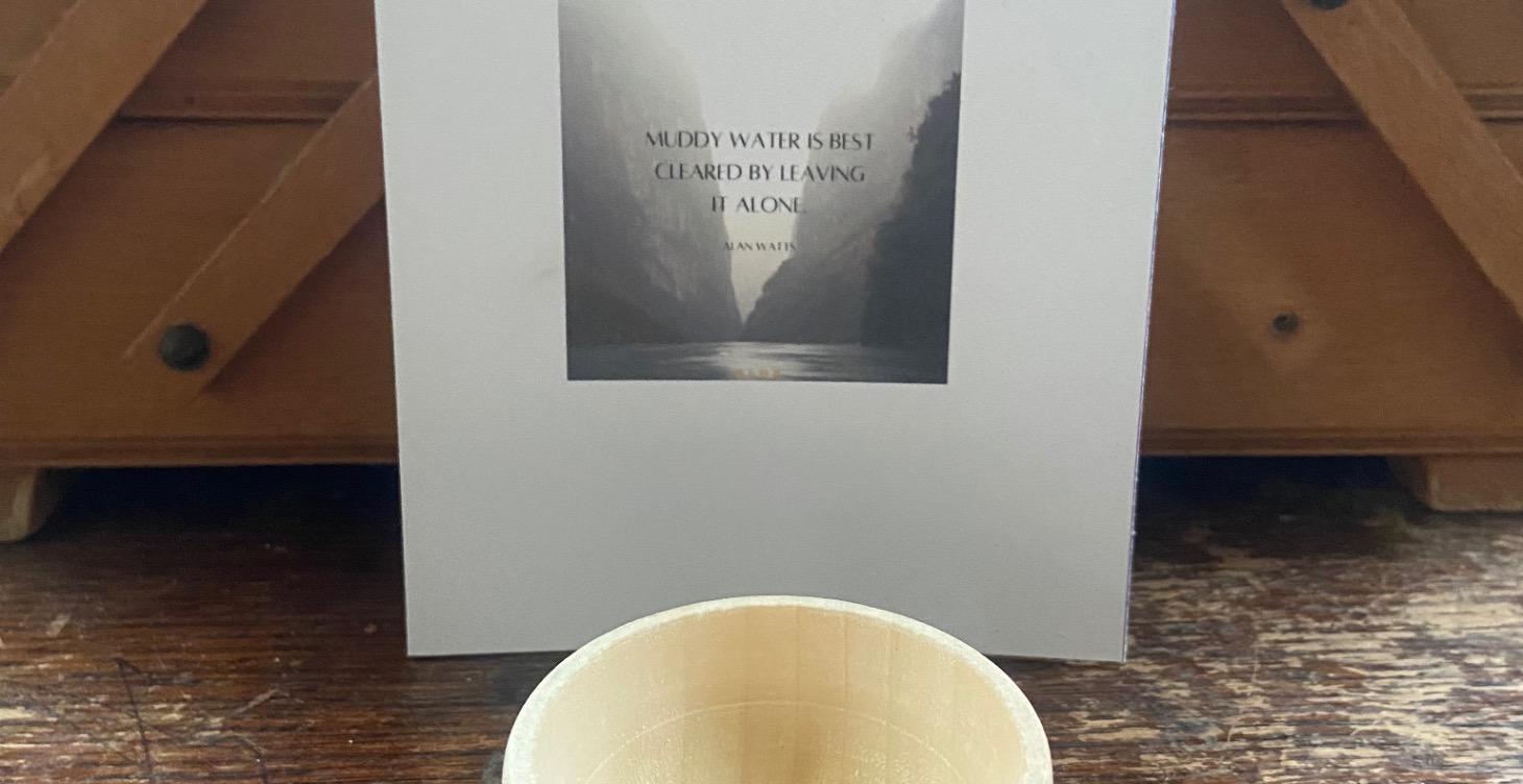 Institute of Economics and Peace