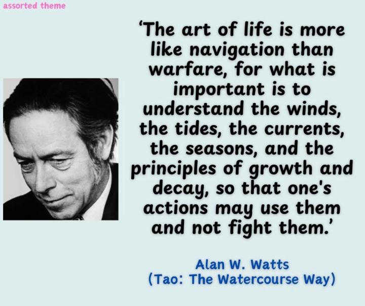 Final week of SHIFT Framework