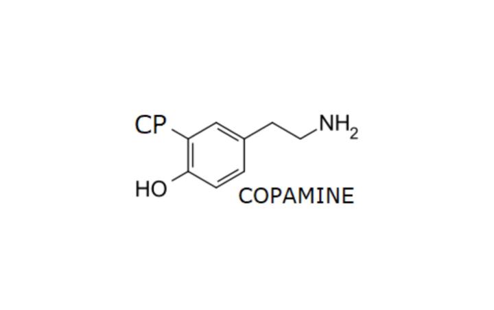 Copamine Studios