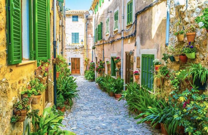 Traumhafte Fotos in toller Landschaft - Valldemossa  & Sóller