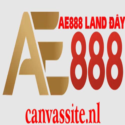 Ae Canvassite