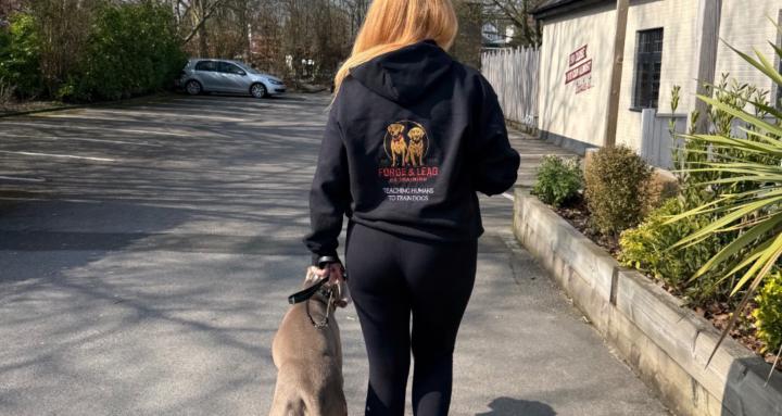 Forge & Lead K9 Training
