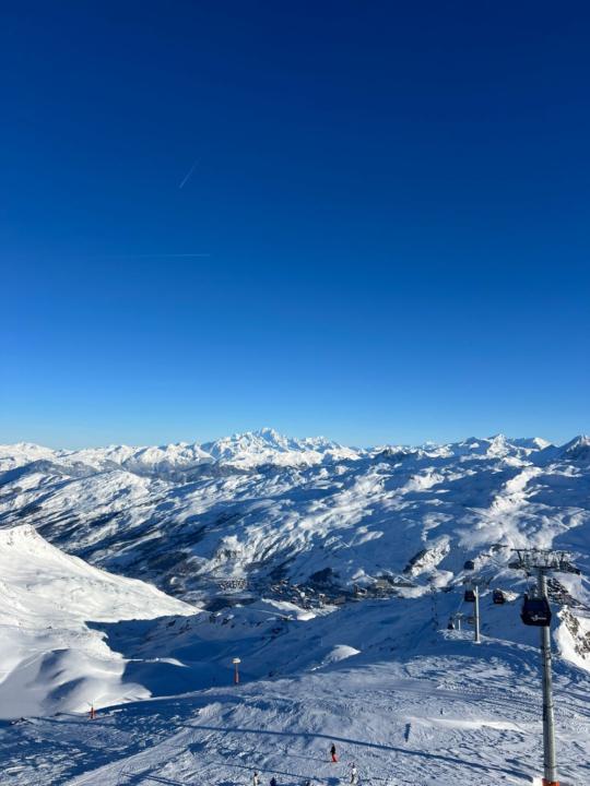 Laura Pereira canedo