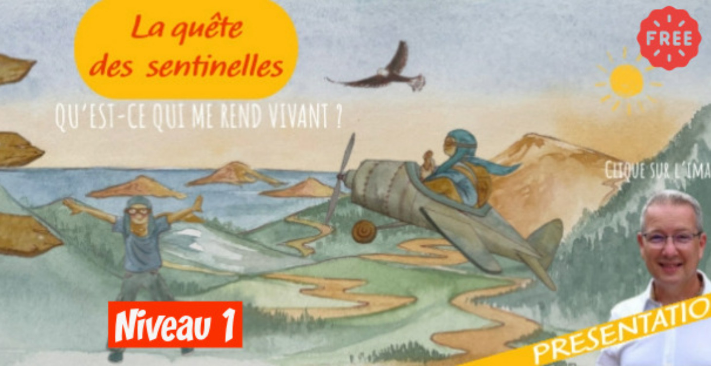 📢 PRESENTATION – LA QUETE DES SENTINELLES 🏕️