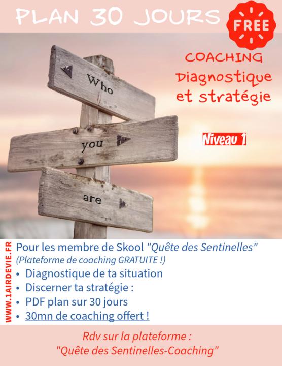 4.🤩 Ton Diagnostic et Plan d'action offert 😉