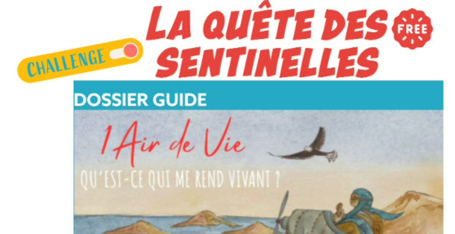 😉Bienvenue: Challenge "La quête des sentinelles!"