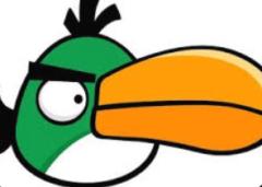 iiNightPuma Margheritini