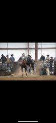 Mason Casarotto