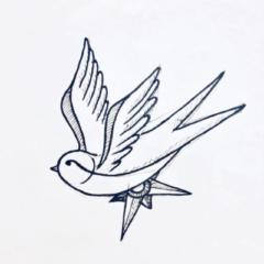 Golondrina Mensajera