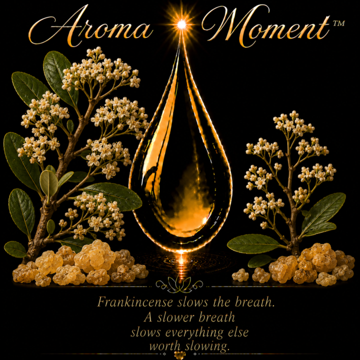 Aroma Moment™ 