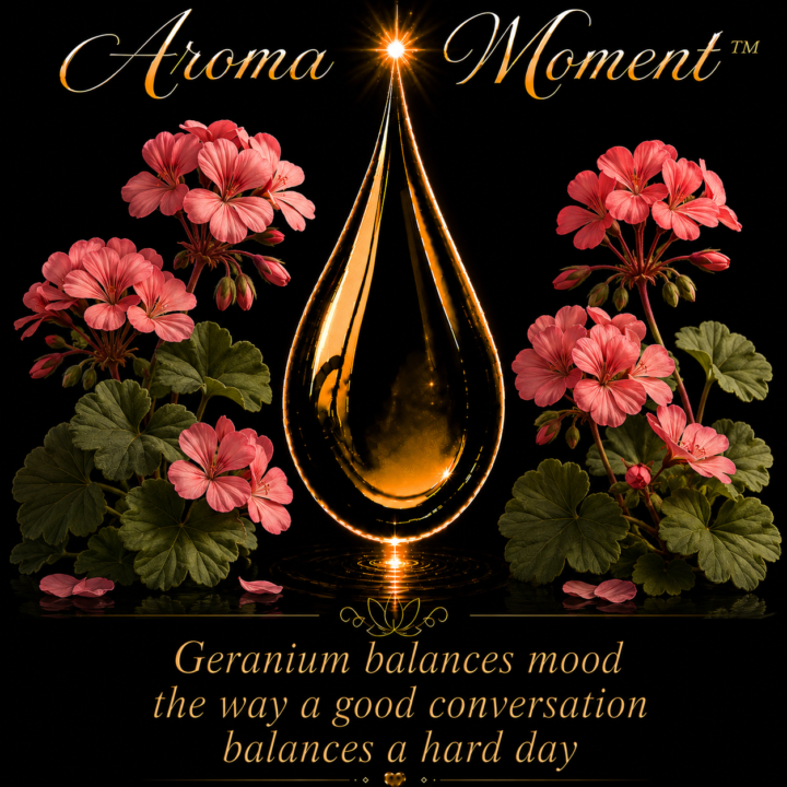 Aroma Moment™ 