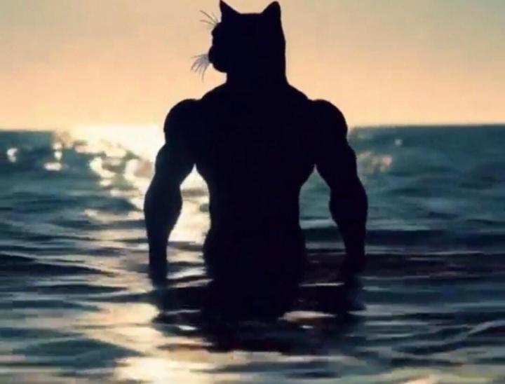Erik Ozzy