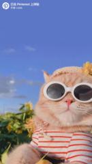 Katty C
