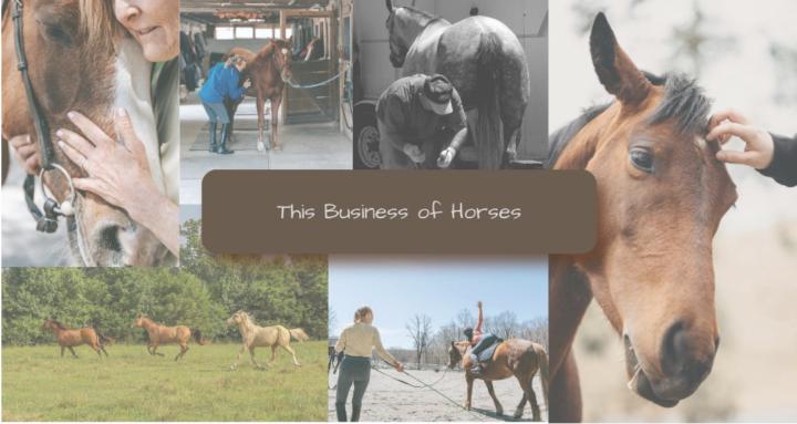 This Business of Horses