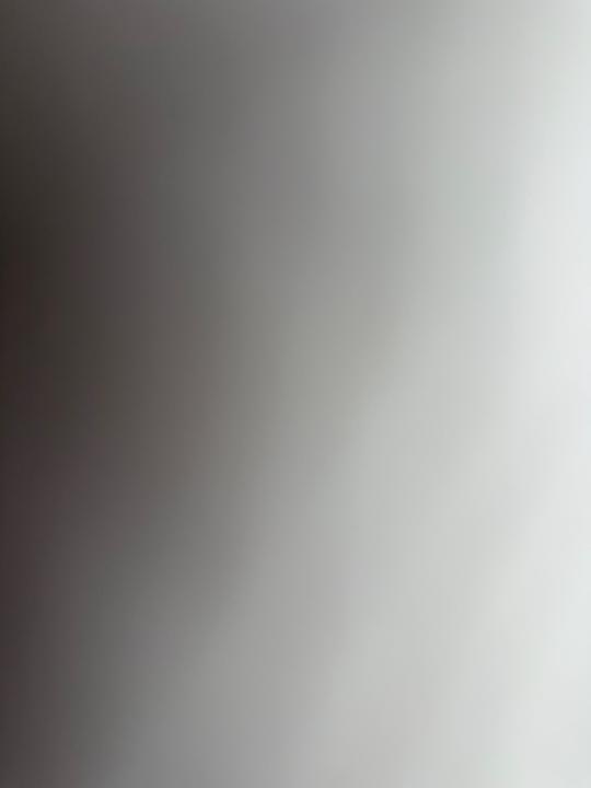 Larissa Cecile Weber