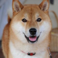 Yi Chang