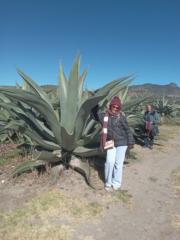 Janet Beyris Bringuez