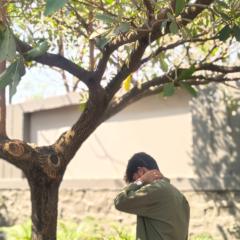 Jaydeep Hari