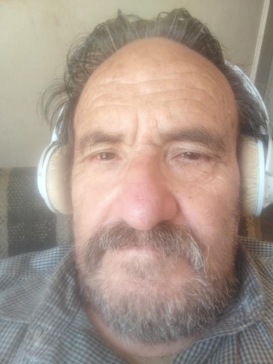 Julio Humberto Andaur Moya