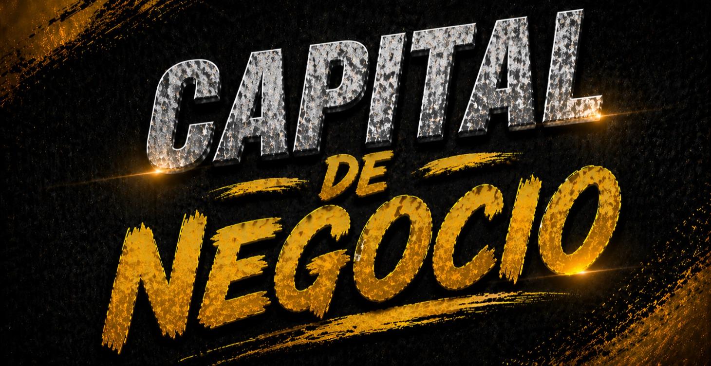 CAPITAL DE NEGOCIO
