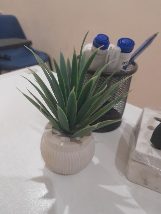 Hassan Minhas