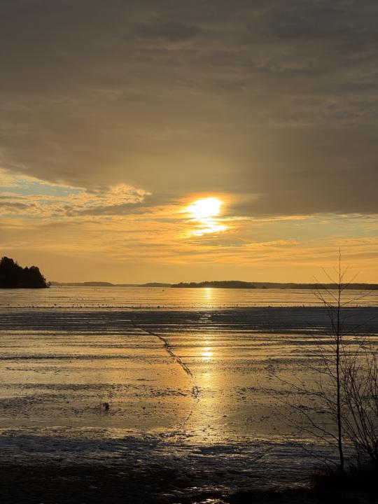 Auringon vaikutus vireyteen