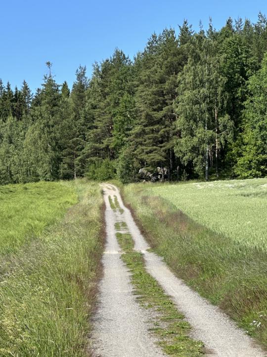 Alkuverryttelyt pyöräillen