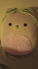 Nivethashree Alagappan