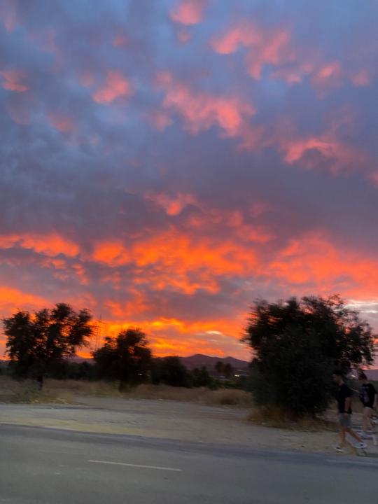 Ana Raimundo Andrés