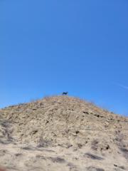 José Enrique Anton Saldarriaga