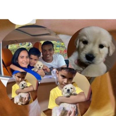 José Enrique Anton Saldarriaga