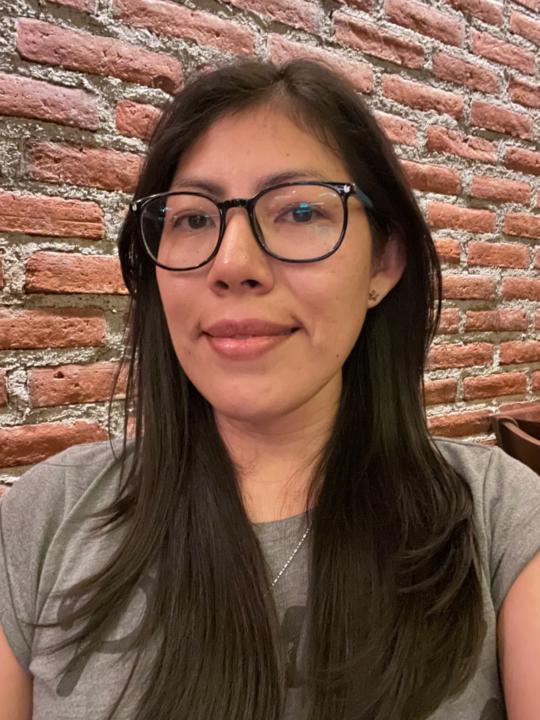 Diana Sanchez Castro
