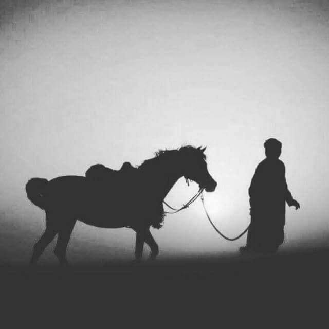 Mohamed amine Oueslati