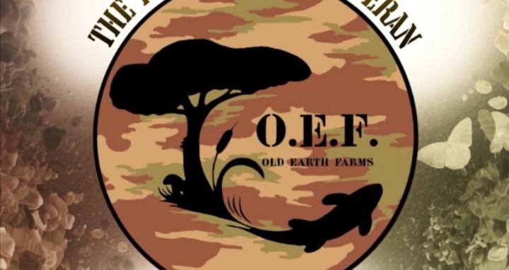 The Regenerative Veteran