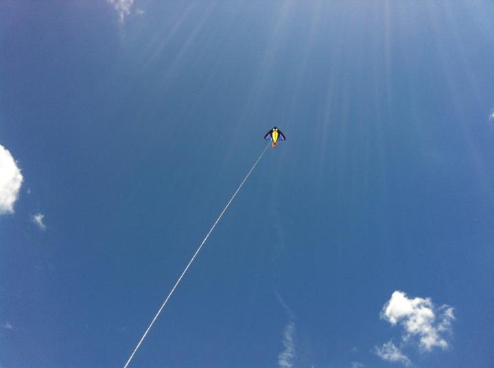 José Daniel Guijarro Navarro