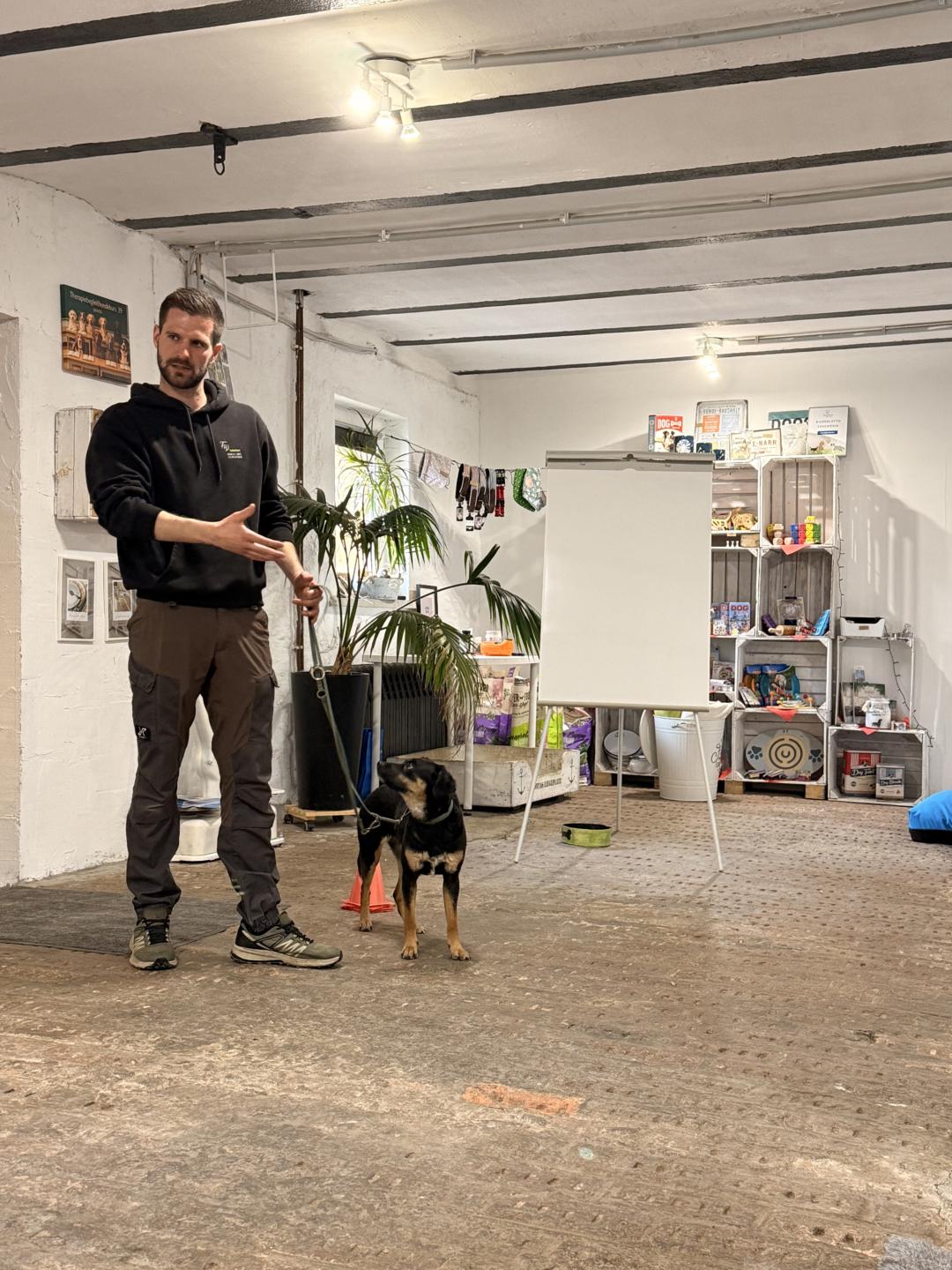 CLEAR Hundetraining