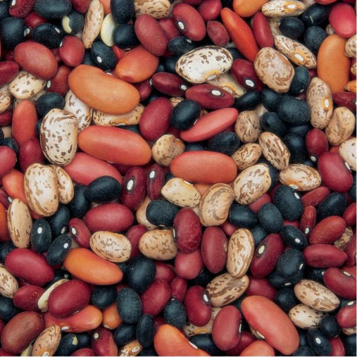 Michael MatchesSeeds
