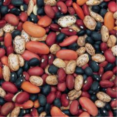 Michael MatchesSeeds